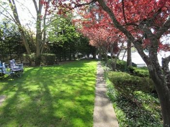 Pet-friendly green space